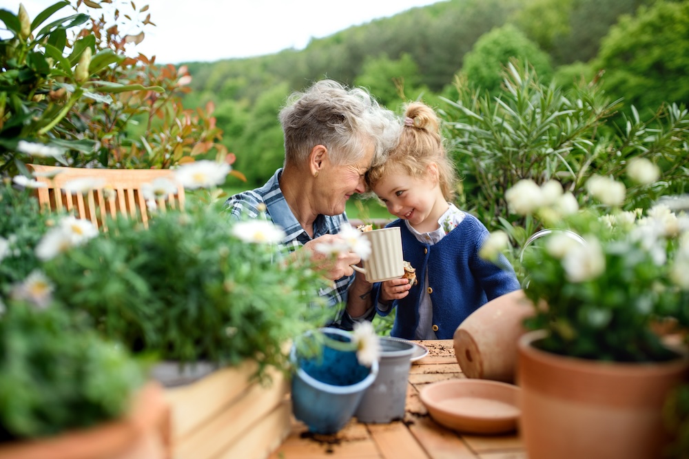 Legacy Wealth Planning